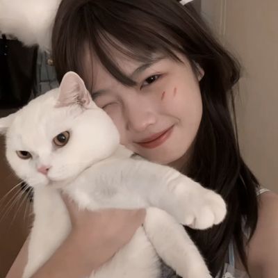 不思议创造高级编辑器下载